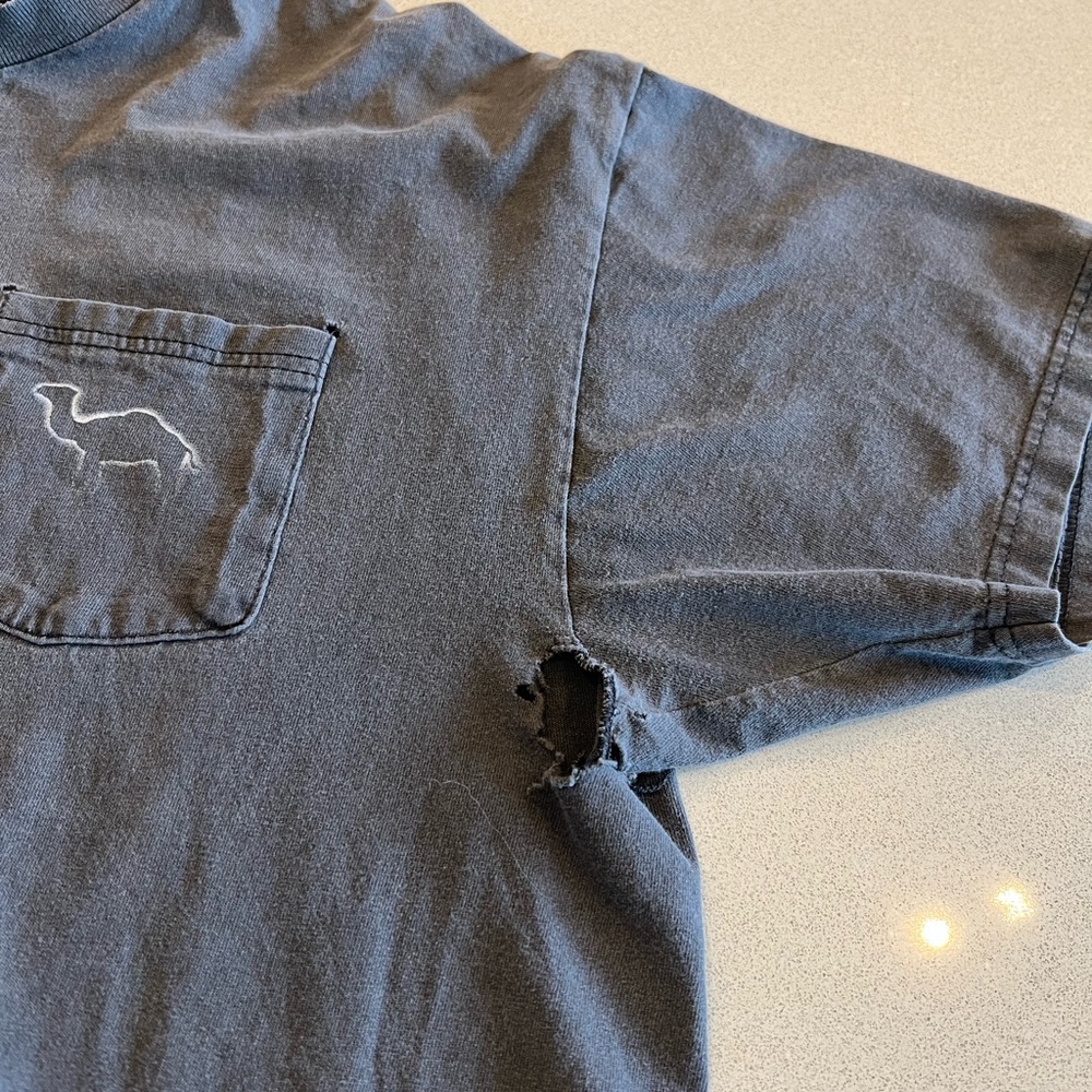 Vintage Thrashed Y2K Hanes XL Camel Graphic Tee – Desert Sun Logo Pocket Shirt - Picture 6 of 12